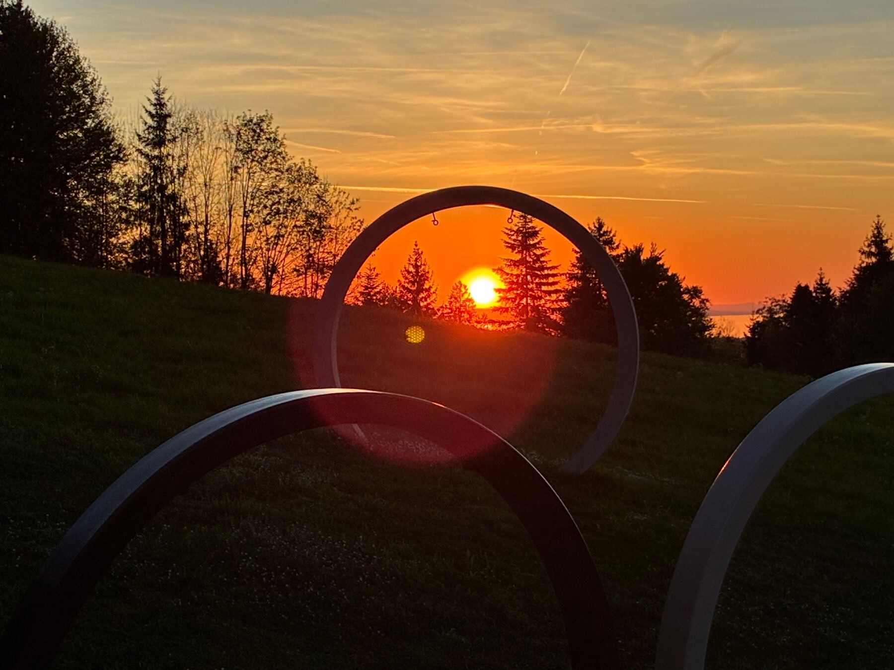 Oona Circle Galeriebild 3